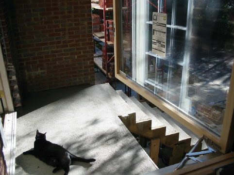 Bert enjoying the new side porch and small wall of bricks
